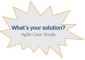 agile case study