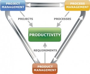 Business Analysis Project Management Process Management Product Management 