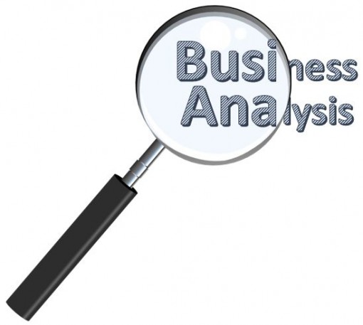 Business Analysis Detective